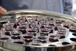 Freie evangelische Christengemeinde 'Alpha und Omega' in Leipzig